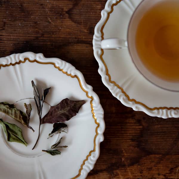 Vintage Peon, teblader og brygg